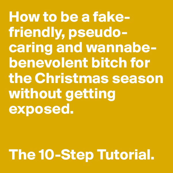 How to be a fake-friendly, pseudo-caring and wannabe- benevolent bitch for the Christmas season without getting exposed.


The 10-Step Tutorial. 