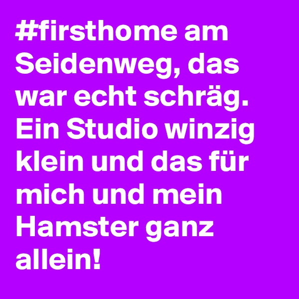 #firsthome am Seidenweg, das war echt schräg. Ein Studio winzig klein und das für mich und mein Hamster ganz allein! 