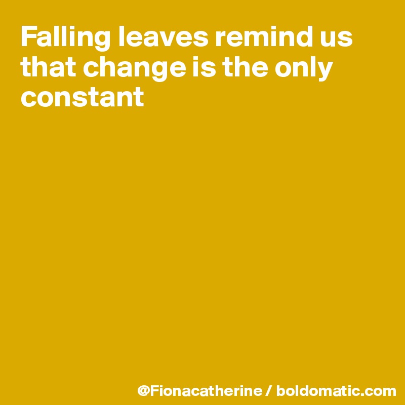 Falling leaves remind us that change is the only constant









