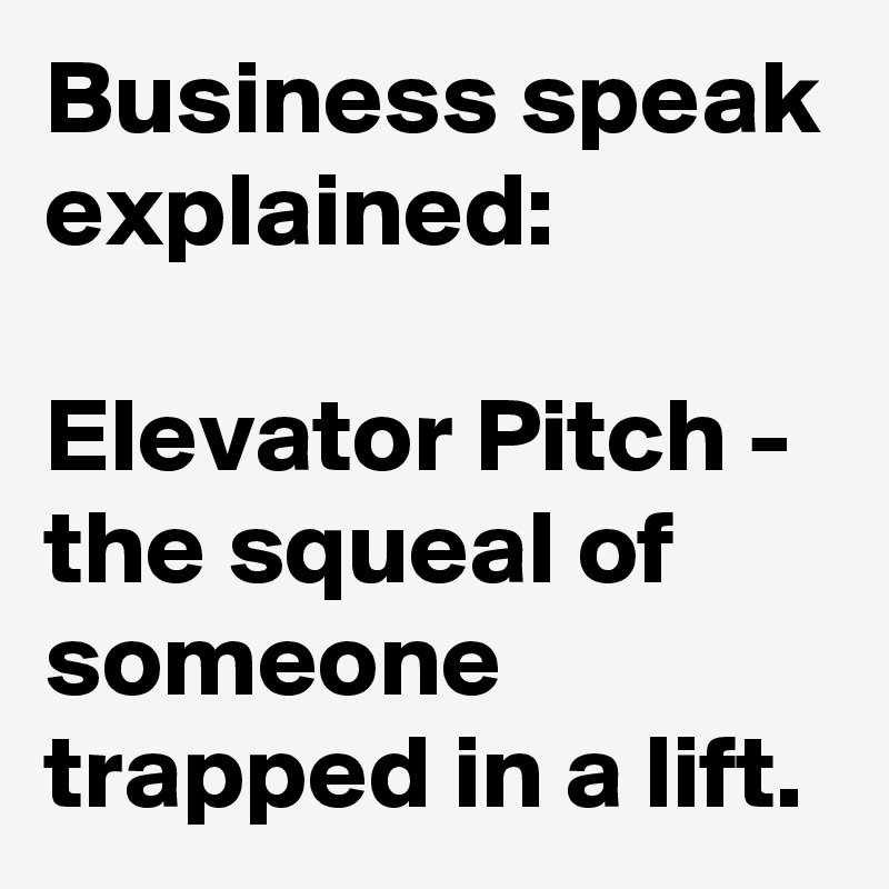 Business speak explained:

Elevator Pitch - the squeal of someone trapped in a lift.
