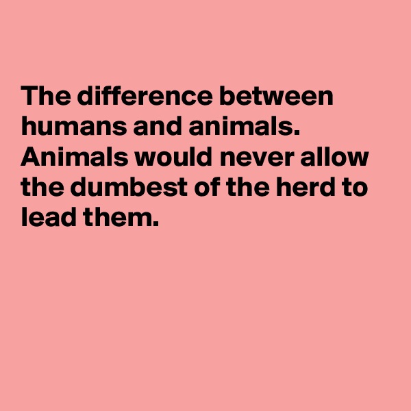 

The difference between humans and animals. 
Animals would never allow the dumbest of the herd to lead them.




