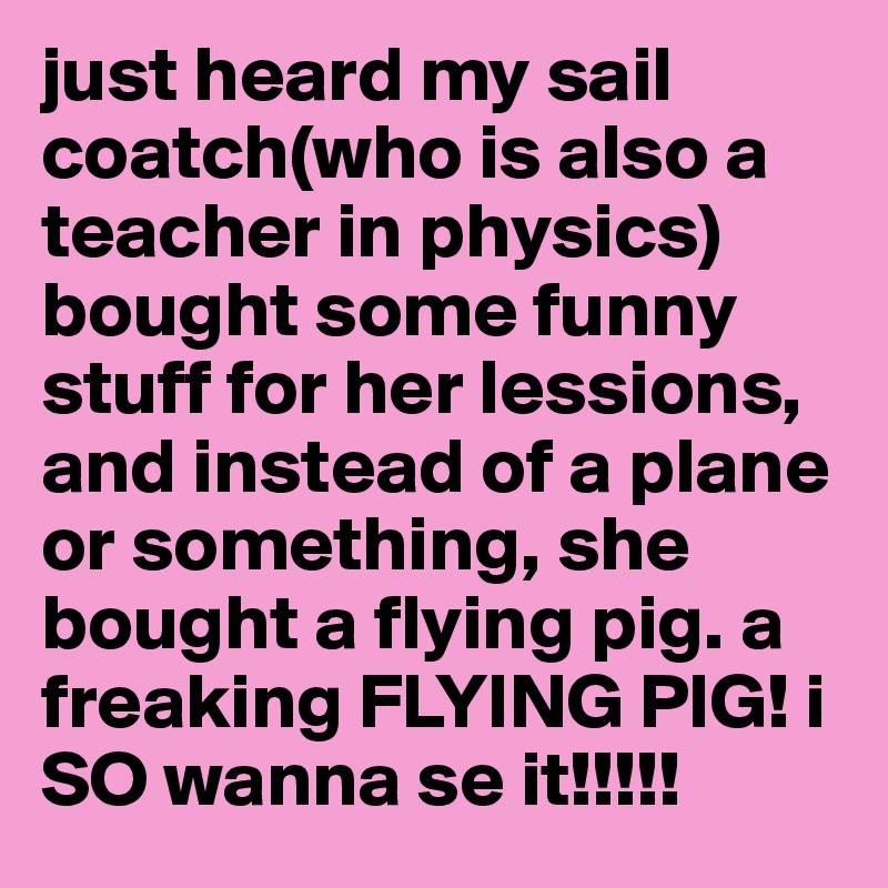 just heard my sail coatch(who is also a teacher in physics) bought some funny stuff for her lessions, and instead of a plane or something, she bought a flying pig. a freaking FLYING PIG! i SO wanna se it!!!!!