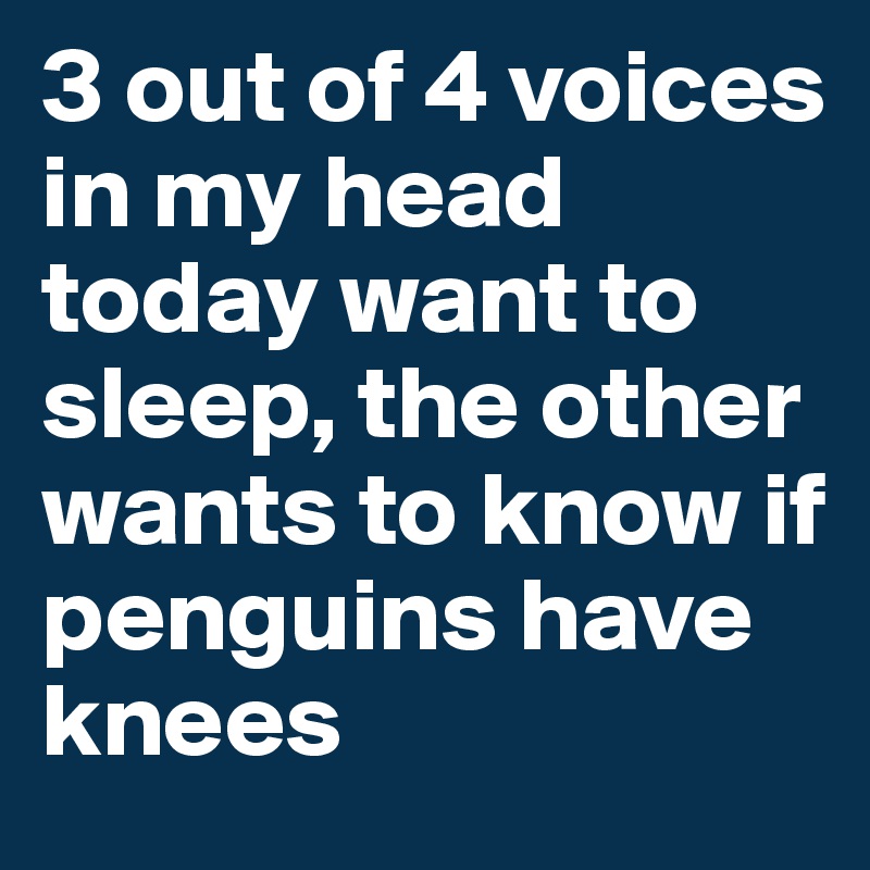 3 out of 4 voices in my head today want to sleep, the other wants to know if penguins have knees