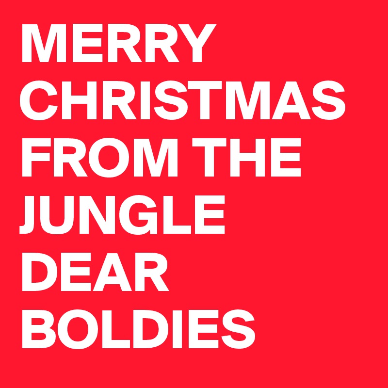 MERRY CHRISTMAS FROM THE JUNGLE DEAR BOLDIES 