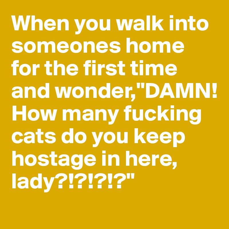 When you walk into someones home for the first time and wonder,"DAMN! How many fucking cats do you keep hostage in here, lady?!?!?!?"
