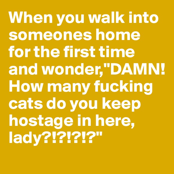 When you walk into someones home for the first time and wonder,"DAMN! How many fucking cats do you keep hostage in here, lady?!?!?!?"
