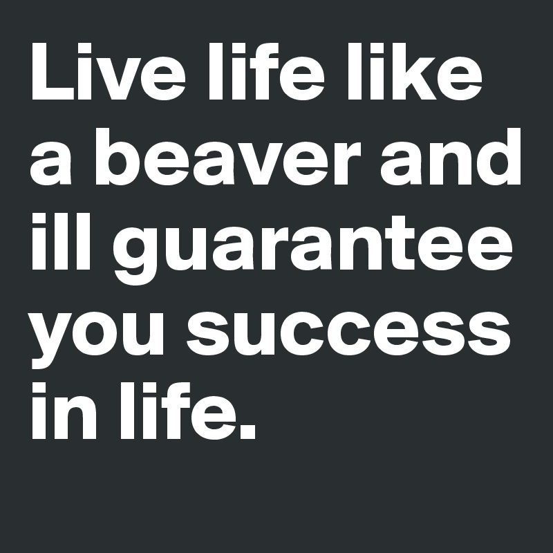 Live life like a beaver and ill guarantee you success in life. 