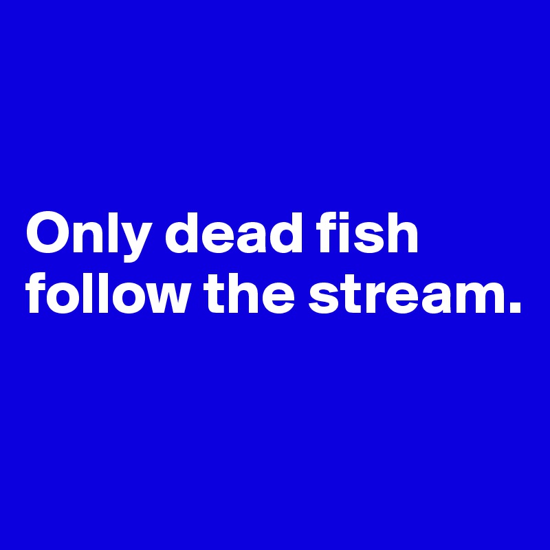 


Only dead fish follow the stream. 


