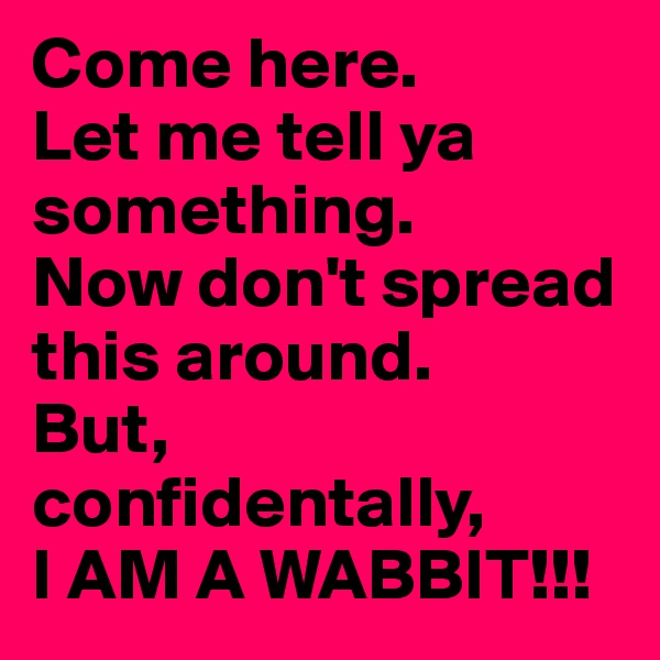 Come here.        Let me tell ya something.     Now don't spread this around.     But, confidentally, 
I AM A WABBIT!!!