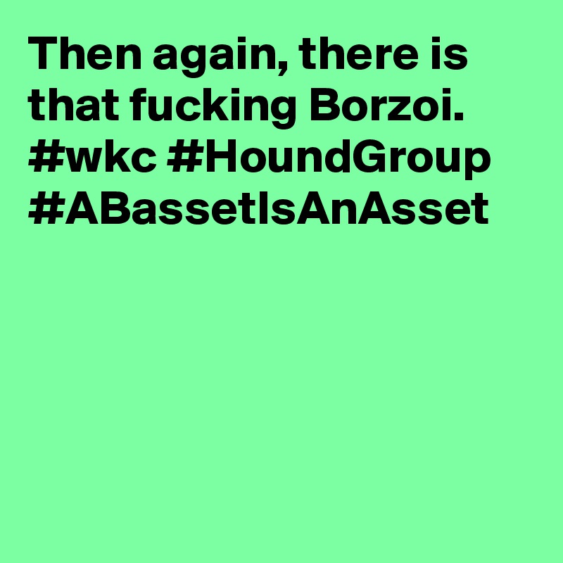 Then again, there is that fucking Borzoi. #wkc #HoundGroup #ABassetIsAnAsset
