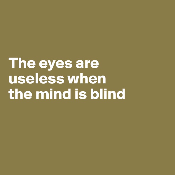 


The eyes are 
useless when 
the mind is blind



