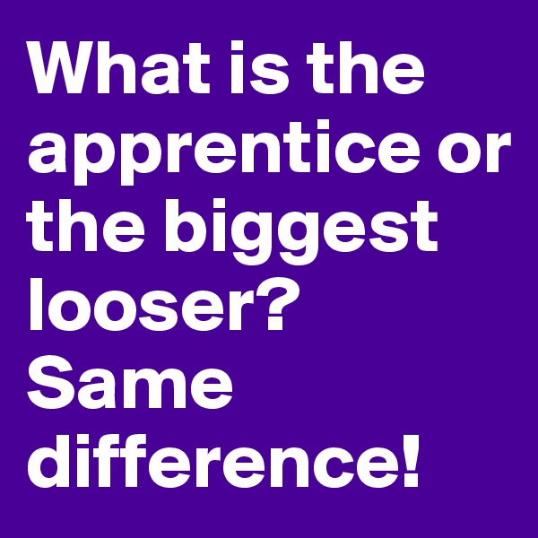 What is the apprentice or the biggest looser? Same difference!