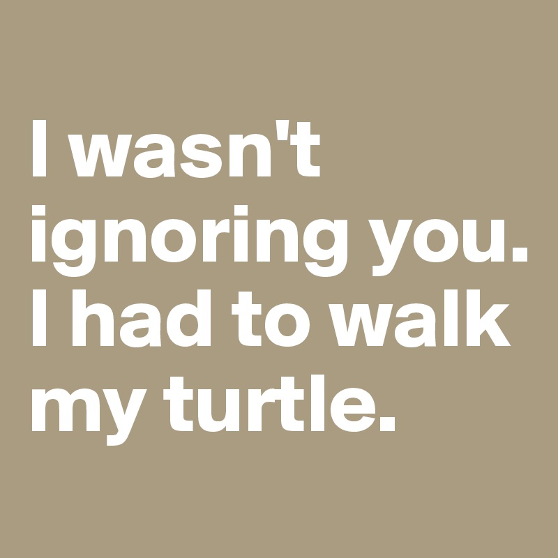 
I wasn't ignoring you. 
I had to walk my turtle. 