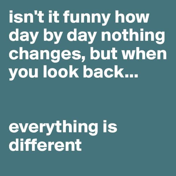 isn't it funny how day by day nothing changes, but when you look back...


everything is different
