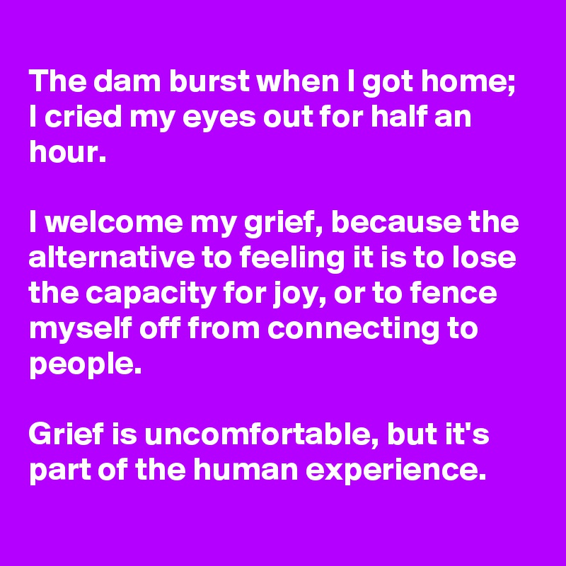 
The dam burst when I got home; I cried my eyes out for half an hour.

I welcome my grief, because the alternative to feeling it is to lose the capacity for joy, or to fence myself off from connecting to people.

Grief is uncomfortable, but it's part of the human experience.
