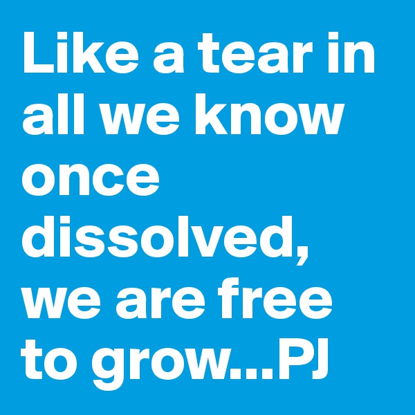 Like a tear in all we know once dissolved, we are free to grow...PJ