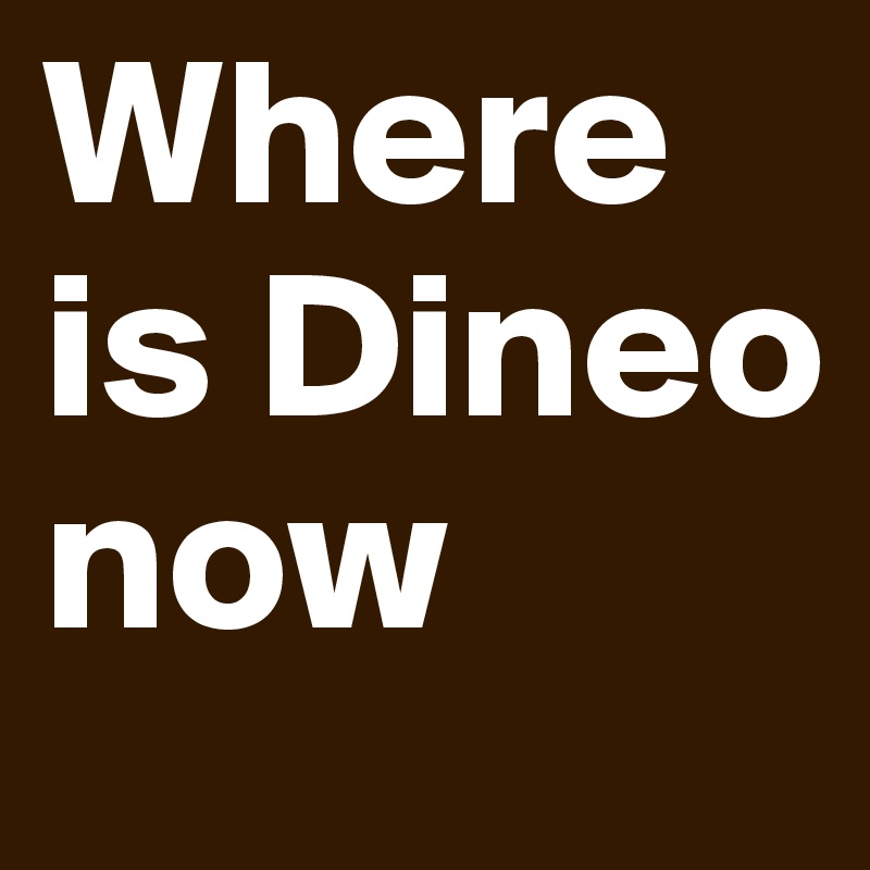 Where is Dineo now