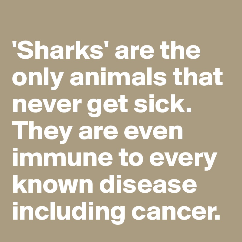 
'Sharks' are the only animals that never get sick. They are even immune to every known disease including cancer.