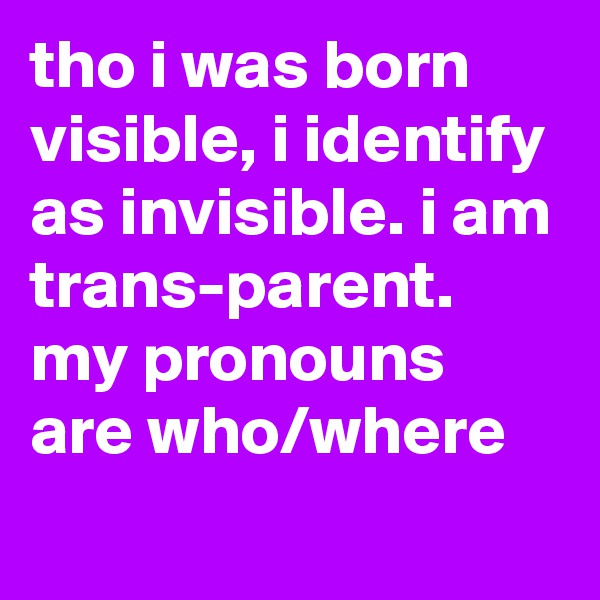 tho i was born visible, i identify as invisible. i am trans-parent. my pronouns are who/where
