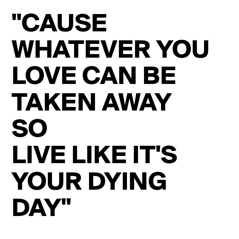 "CAUSE WHATEVER YOU LOVE CAN BE   TAKEN AWAY
SO
LIVE LIKE IT'S YOUR DYING DAY"