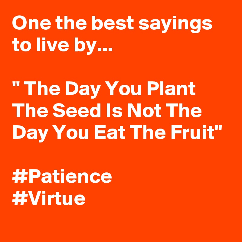 One the best sayings to live by... 

" The Day You Plant The Seed Is Not The Day You Eat The Fruit" 

#Patience
#Virtue