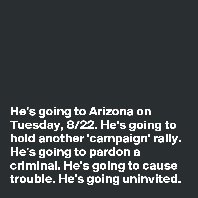 






He's going to Arizona on Tuesday, 8/22. He's going to hold another 'campaign' rally. He's going to pardon a criminal. He's going to cause trouble. He's going uninvited. 