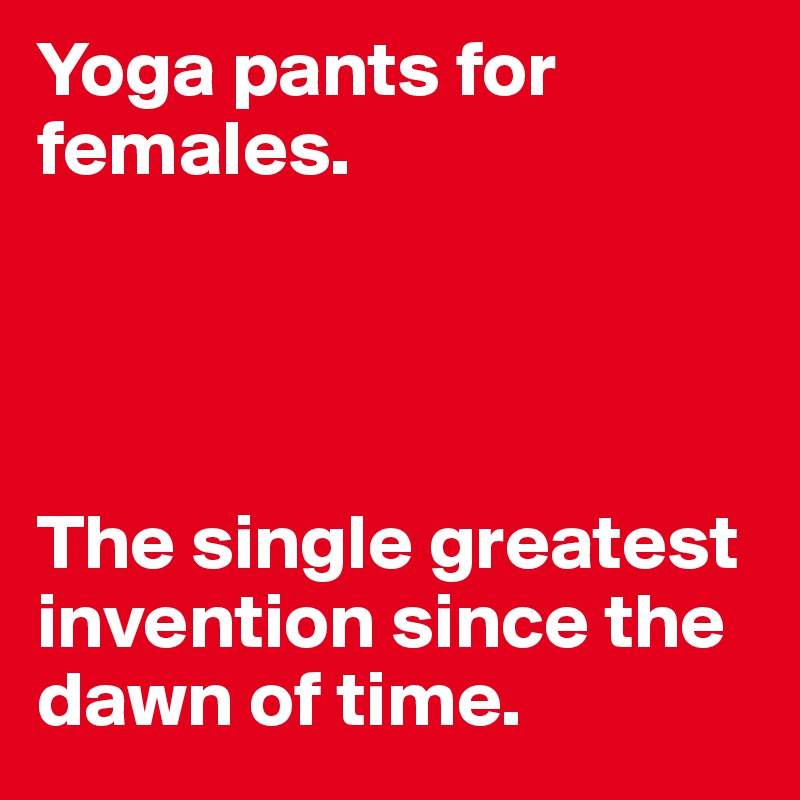 Yoga pants for females.




The single greatest invention since the dawn of time.