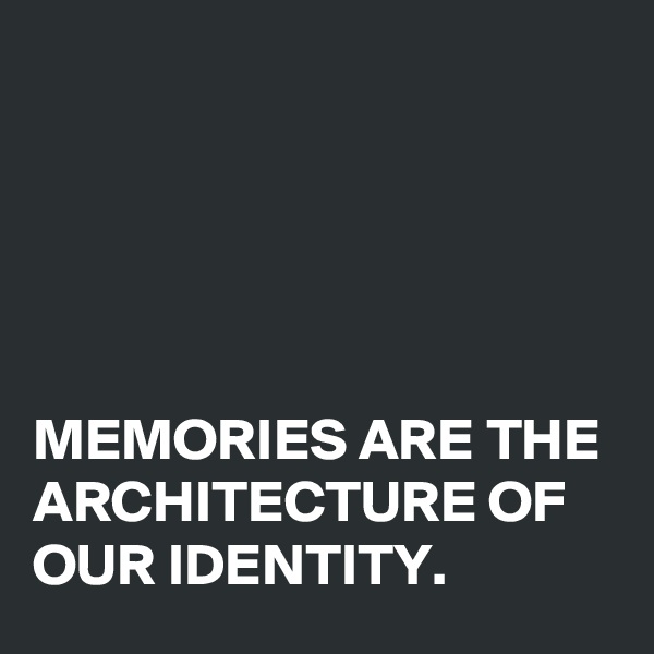 





MEMORIES ARE THE ARCHITECTURE OF OUR IDENTITY.