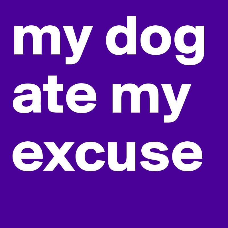 my dog ate my excuse 