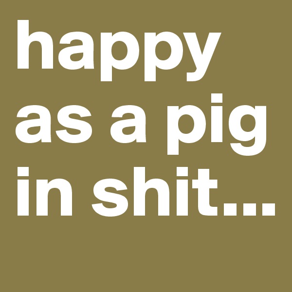 happy as a pig in shit...