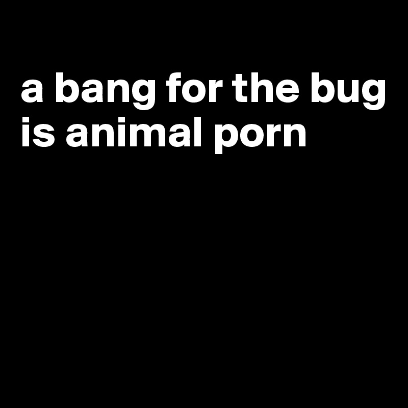 
a bang for the bug is animal porn




