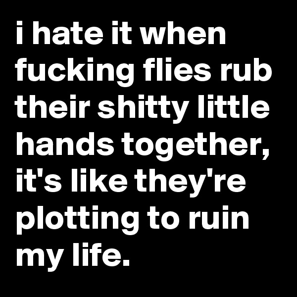 i hate it when fucking flies rub their shitty little hands together, it's like they're plotting to ruin my life.