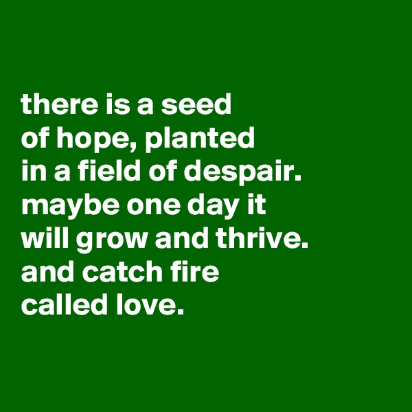 

there is a seed
of hope, planted
in a field of despair.
maybe one day it
will grow and thrive.
and catch fire
called love.

