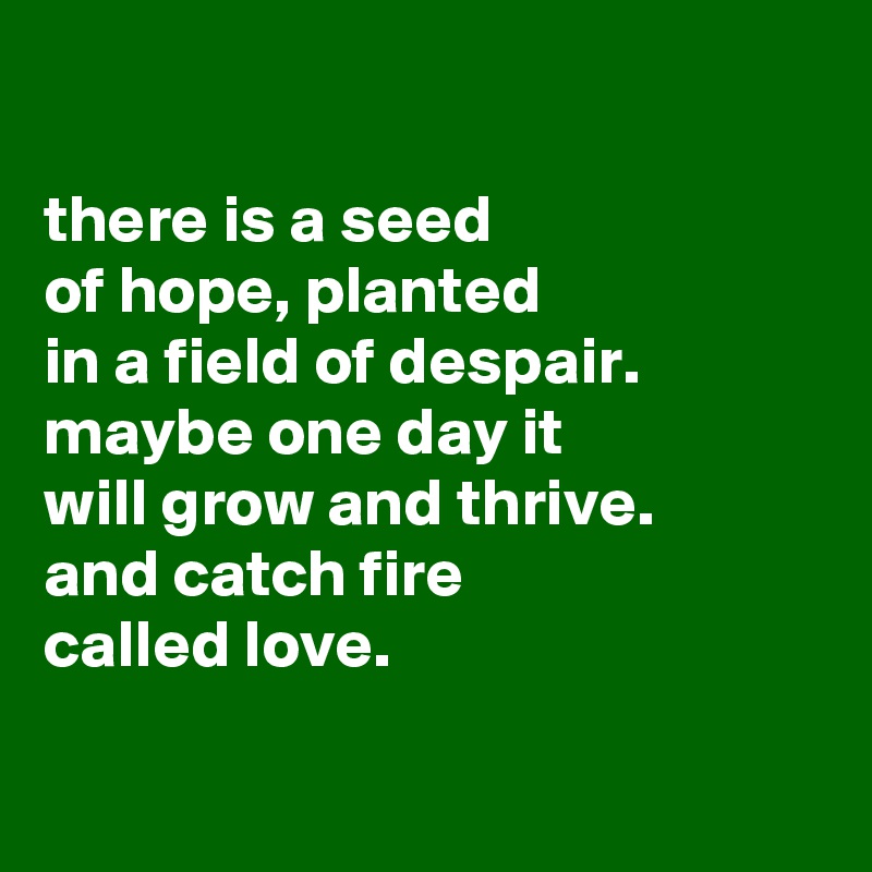

there is a seed
of hope, planted
in a field of despair.
maybe one day it
will grow and thrive.
and catch fire
called love.

