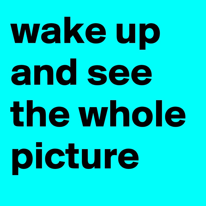 wake up and see the whole picture