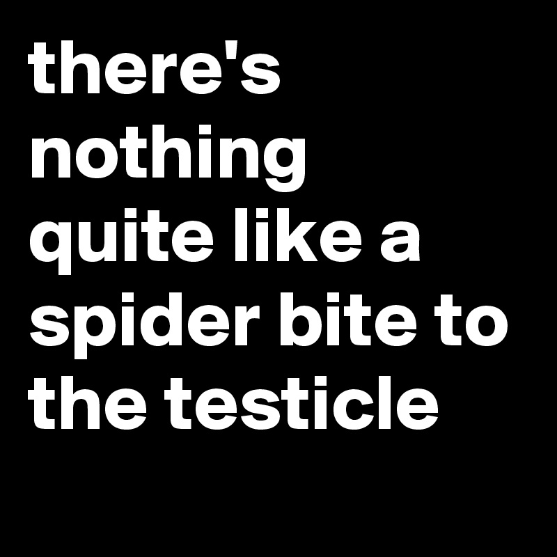 there's nothing quite like a spider bite to the testicle
