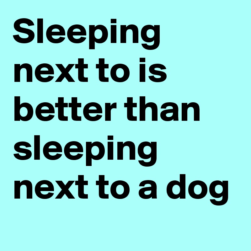 Sleeping next to is better than sleeping next to a dog