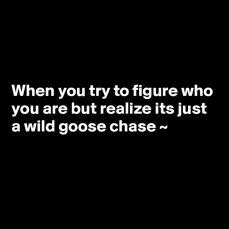 



When you try to figure who you are but realize its just a wild goose chase ~



