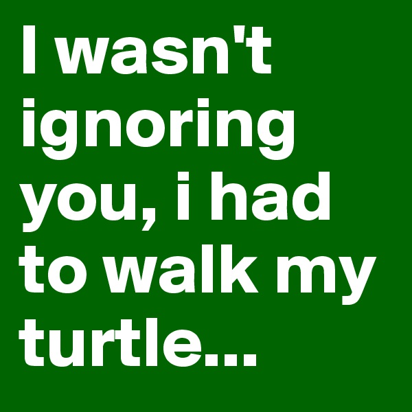 I wasn't ignoring you, i had to walk my turtle... 