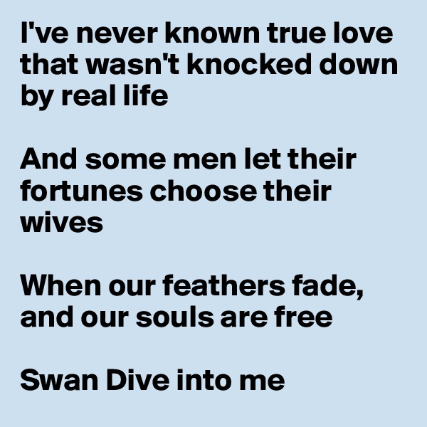 I've never known true love that wasn't knocked down by real life

And some men let their fortunes choose their wives

When our feathers fade, and our souls are free

Swan Dive into me