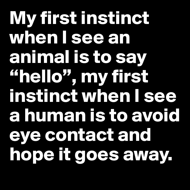 My first instinct when I see an animal is to say “hello”, my first instinct when I see a human is to avoid eye contact and hope it goes away.
