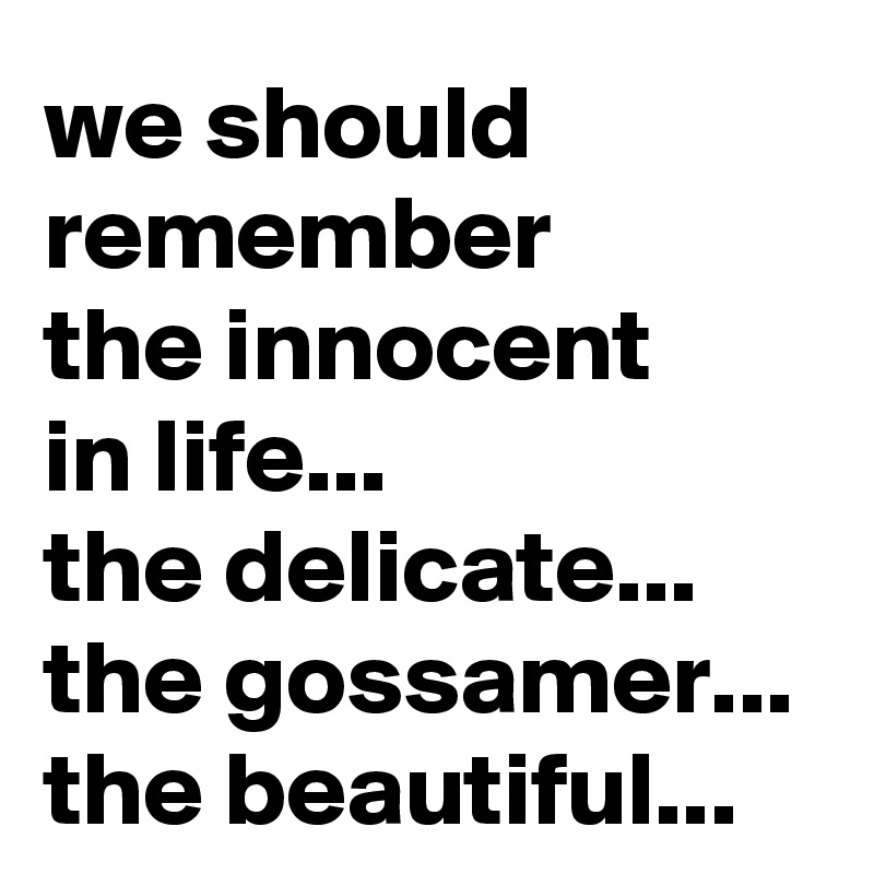 we should remember 
the innocent 
in life...
the delicate... the gossamer... the beautiful...