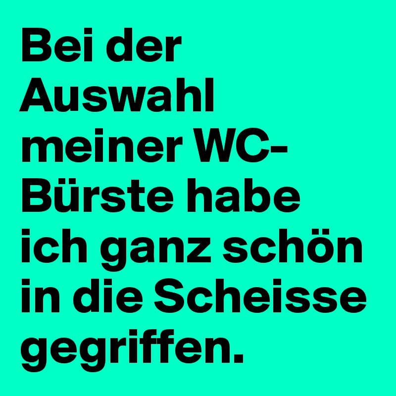 Bei der Auswahl meiner WC-Bürste habe ich ganz schön in die Scheisse gegriffen.
