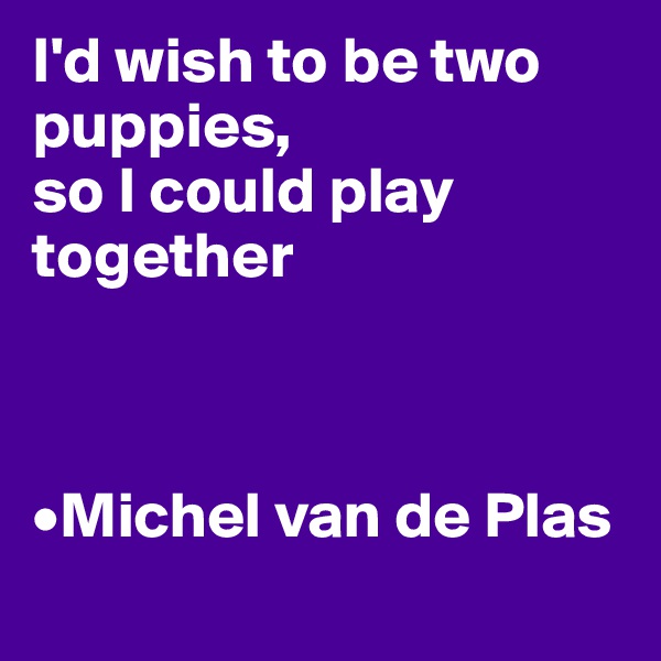 I'd wish to be two puppies, 
so I could play together



•Michel van de Plas 
