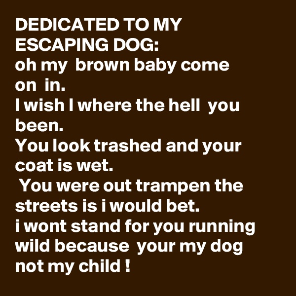 DEDICATED TO MY  ESCAPING DOG:
oh my  brown baby come
on  in.
I wish I where the hell  you been.
You look trashed and your coat is wet.
 You were out trampen the  streets is i would bet.
i wont stand for you running wild because  your my dog not my child !