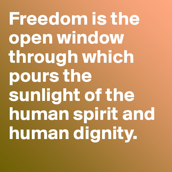 Freedom is the open window through which pours the sunlight of the human spirit and human dignity.
