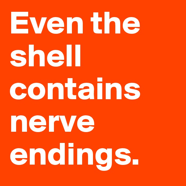 Even the shell contains nerve endings. 