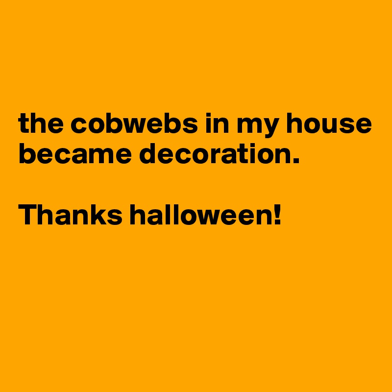 


the cobwebs in my house became decoration. 

Thanks halloween!



