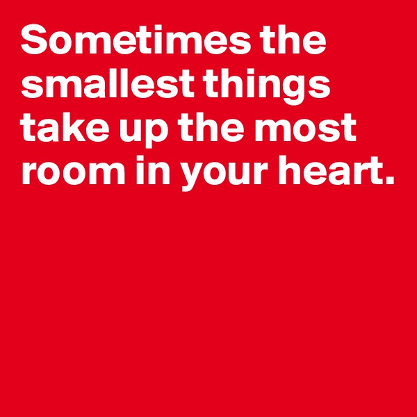 Sometimes the smallest things take up the most room in your heart.



