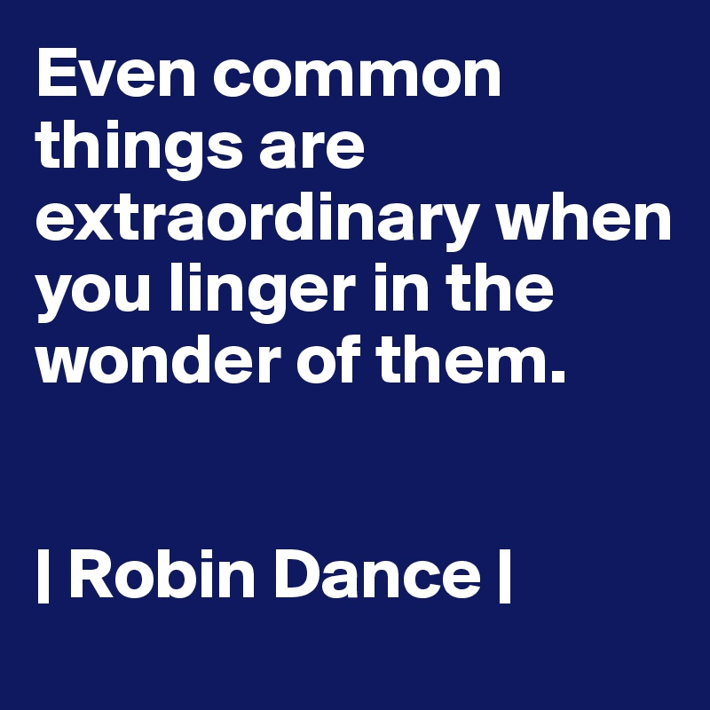 Even common things are extraordinary when you linger in the wonder of them. 


| Robin Dance |